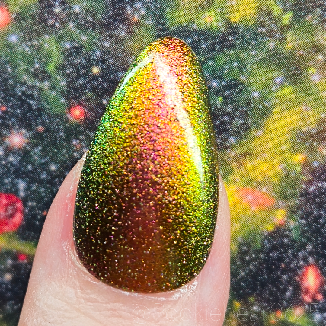 Irregular Galaxy