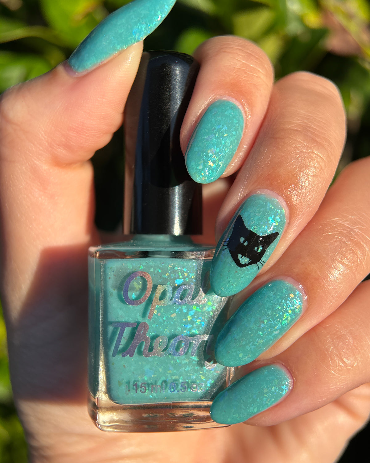 Eye of the Tortie - coming soon