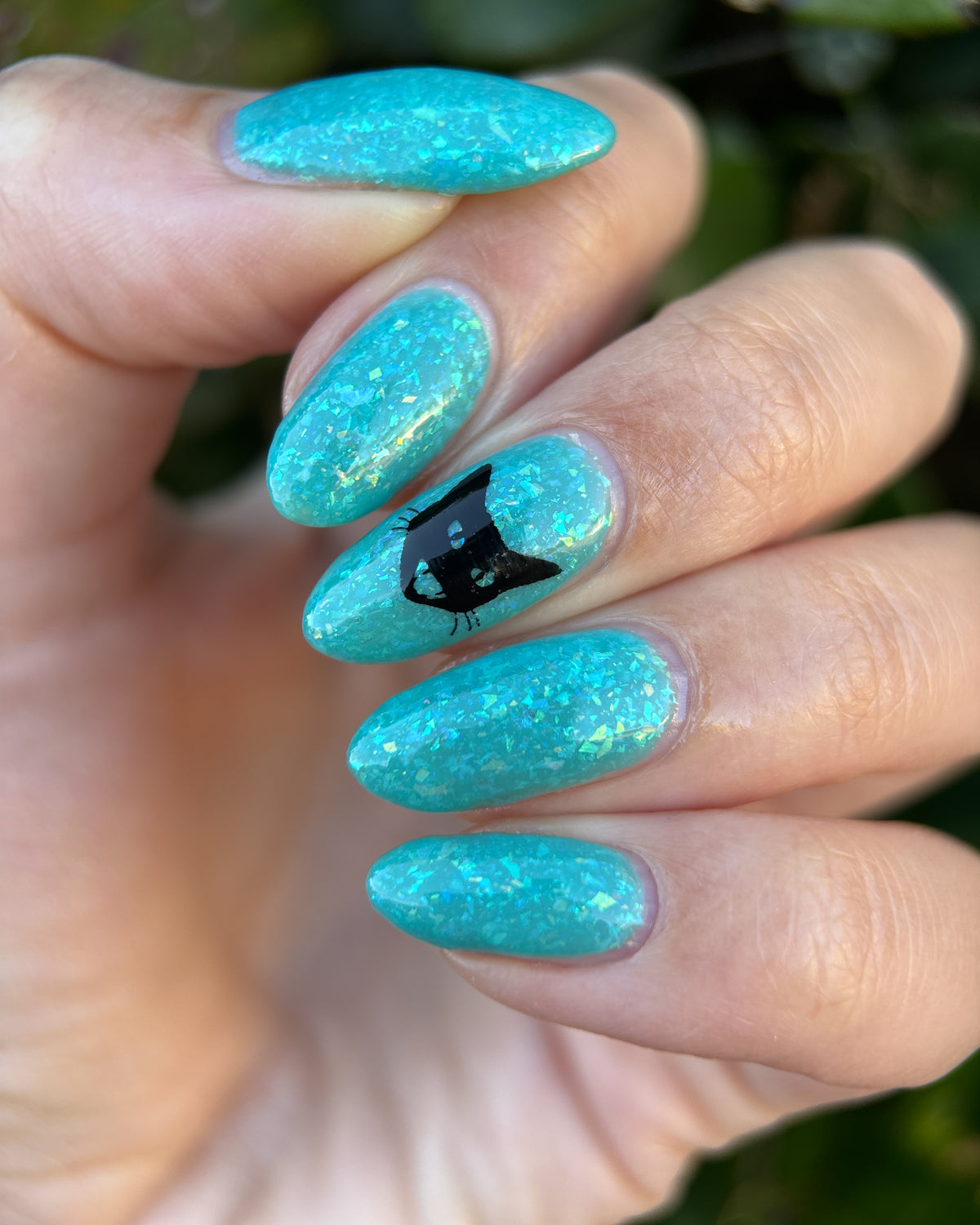 Eye of the Tortie - coming soon