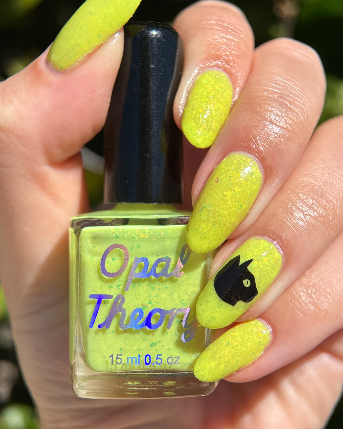 Eye of the Calico - coming soon