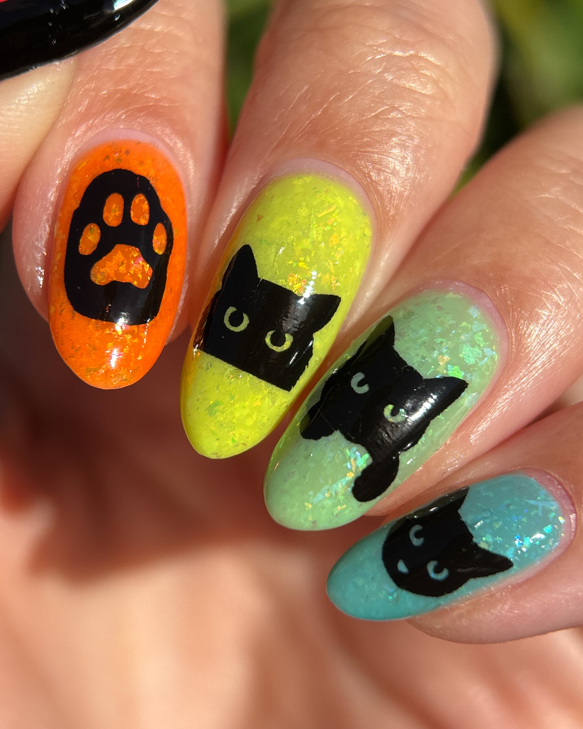 Cat waterslide decals - coming soon