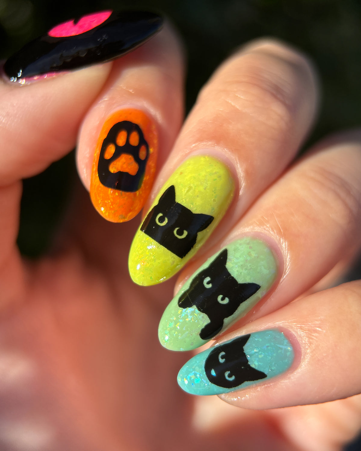 Feline Friends Collection - coming soon