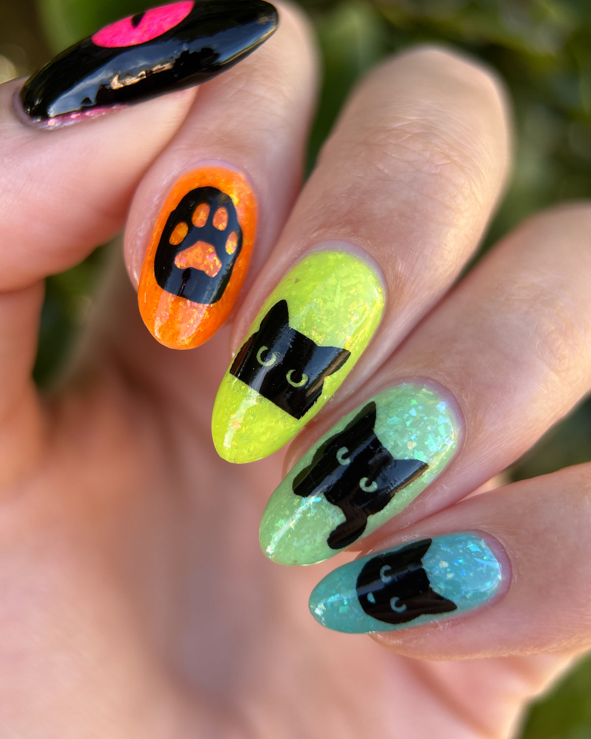 Feline Friends Collection - coming soon