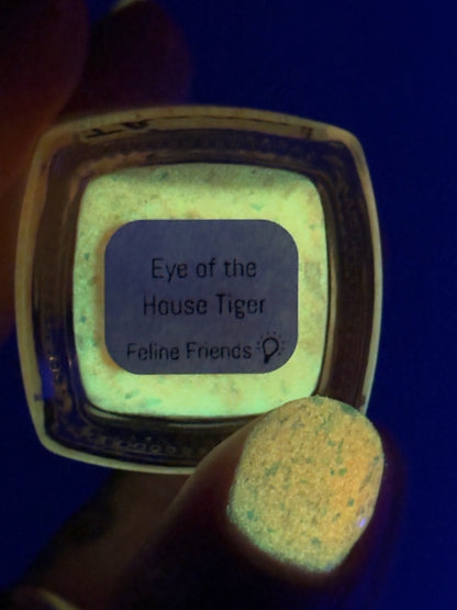 Eye of the House Tiger
