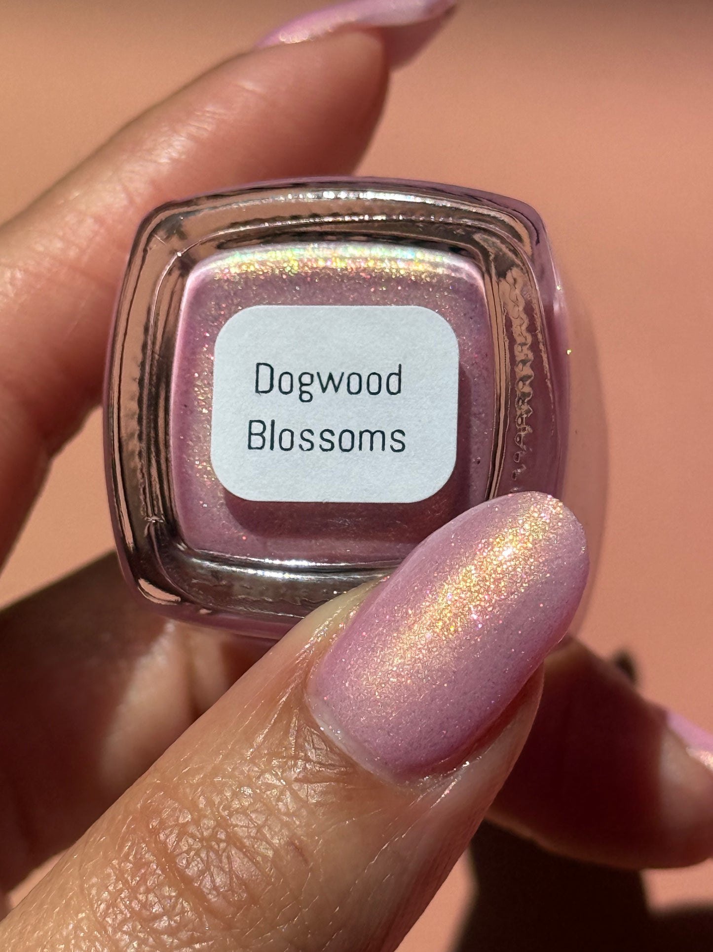 Dogwood Blossoms
