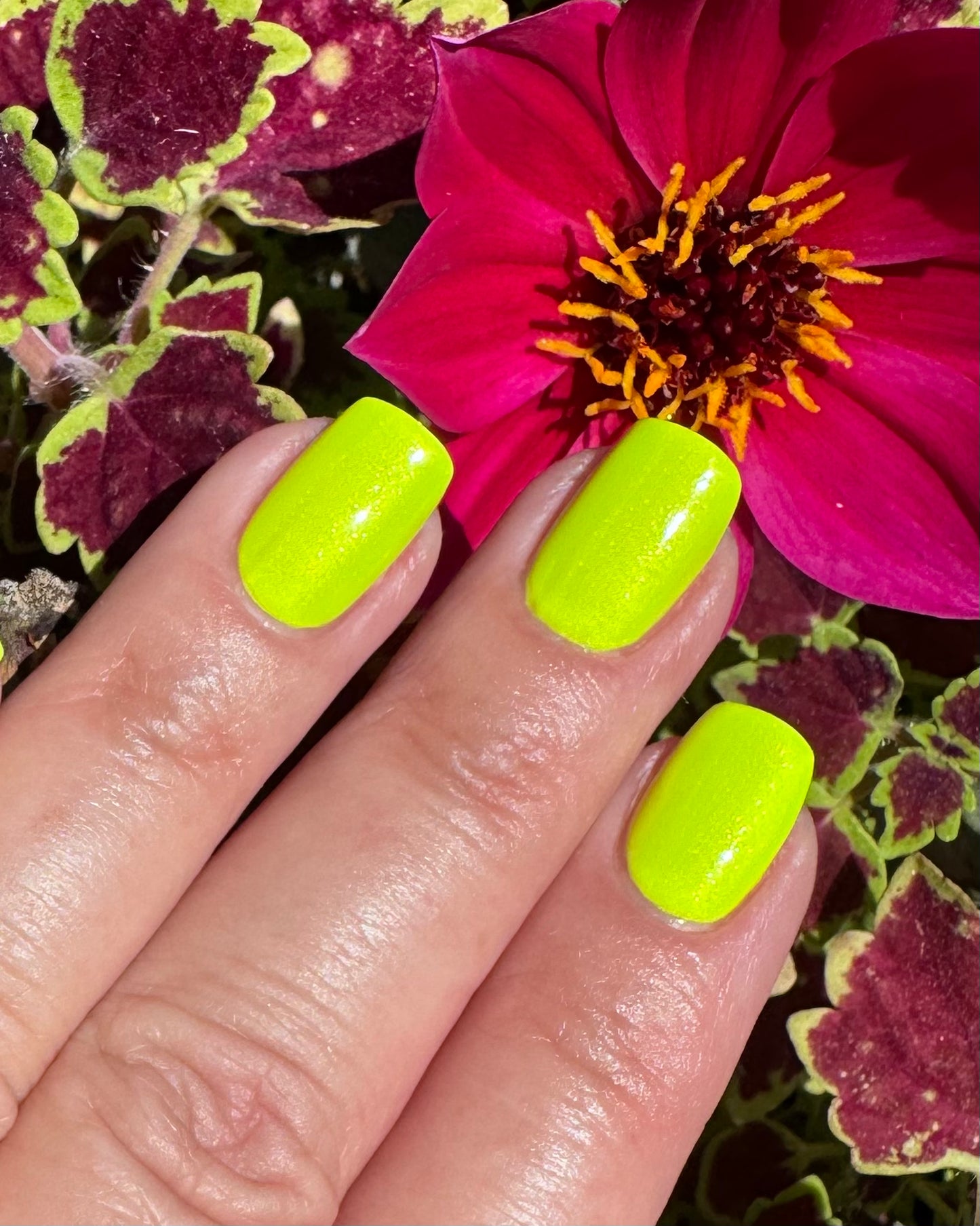Yellow. No, Green. No, Yellow.