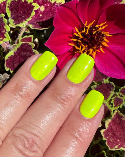 Yellow. No, Green. No, Yellow.