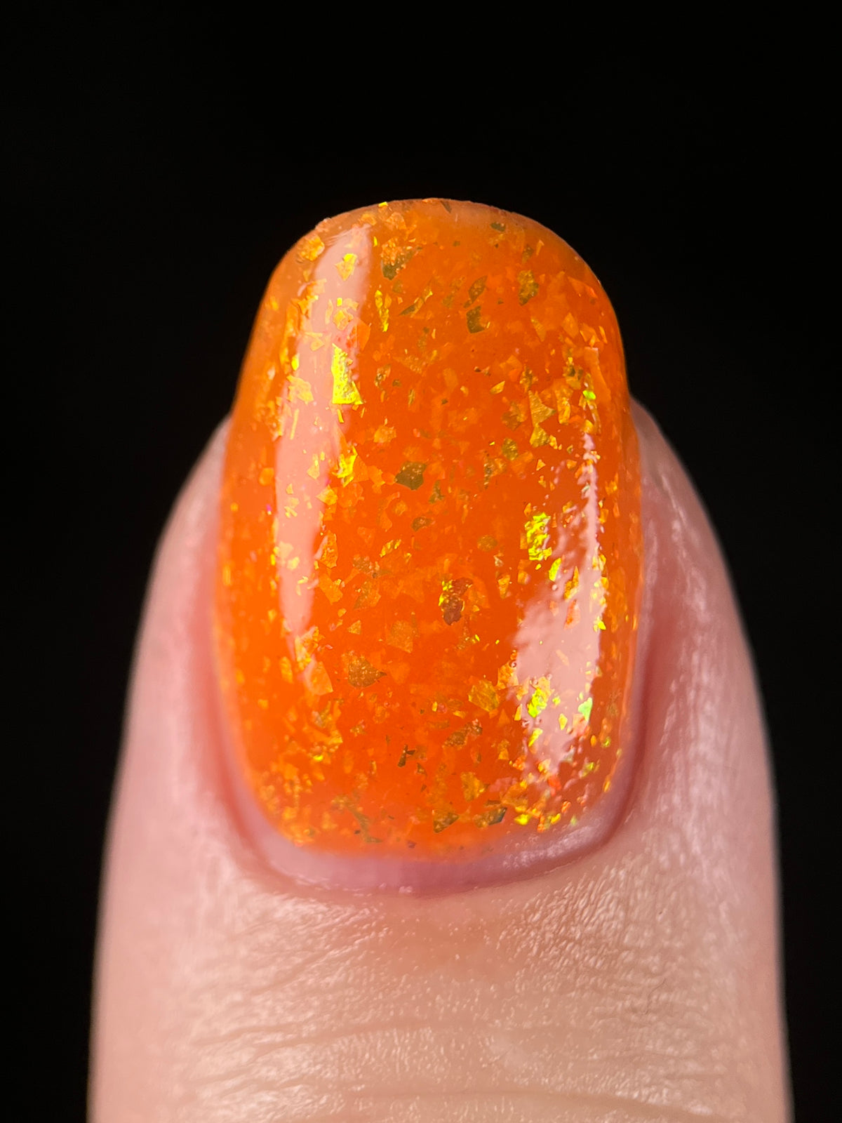 Feline Friends Collection - coming soon