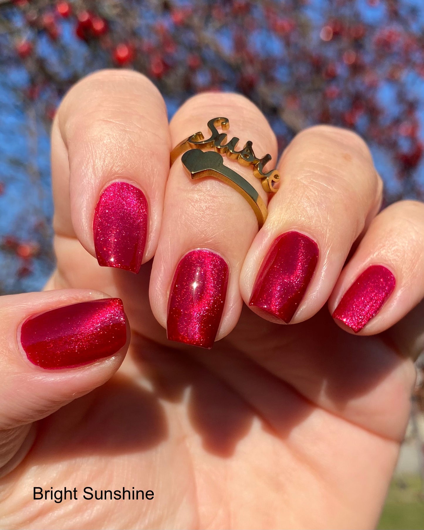 Sugared Cranberries